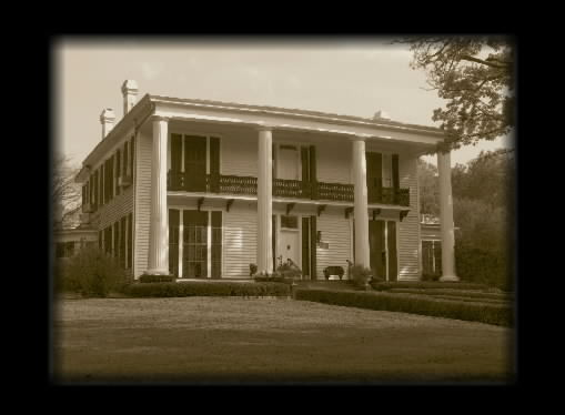 florahouse.jpg